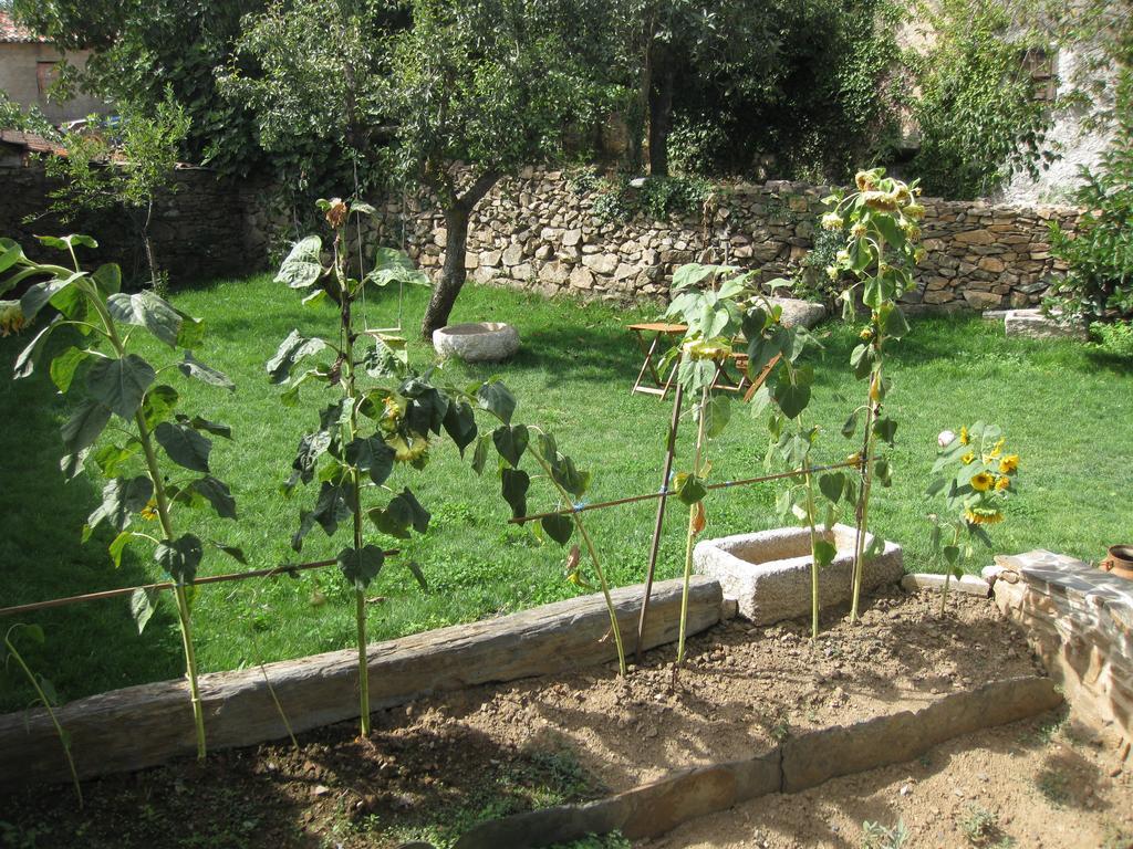 Bragança Candeias Do Souto מראה חיצוני תמונה